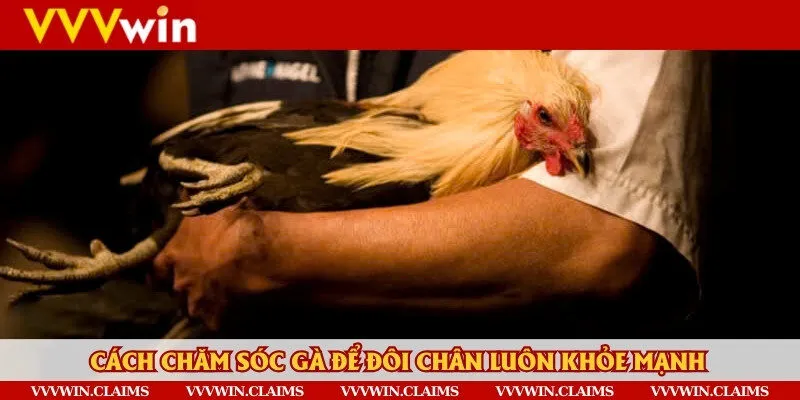 Chăm sóc kỹ lưỡng từng vết thương và sử dụng thêm thuốc bổ trợ