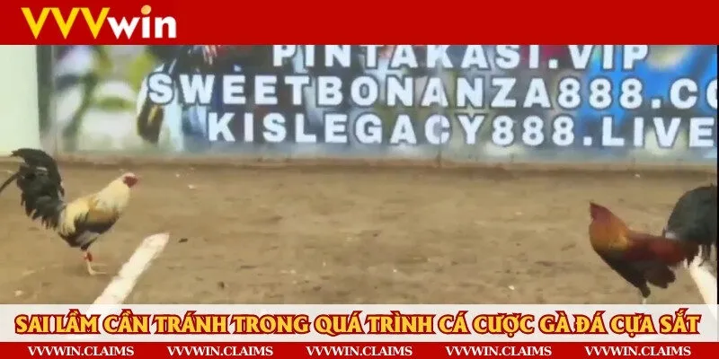 Tuyệt đối cẩn trọng để tránh mắc phải các sai lầm khi cá cược